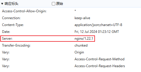Nginx版本信息显示示例